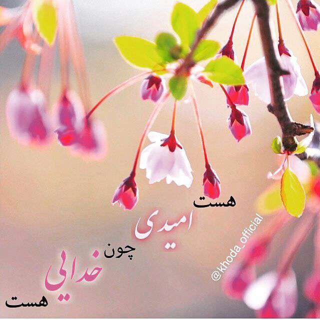 هست امیدی